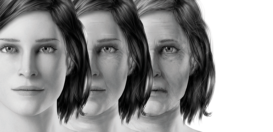 Face Ageing Process Fighting with Art Filler